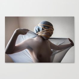 Expand/Contract Canvas Print