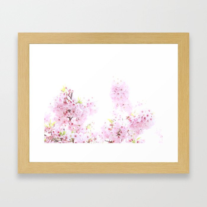 Cherry Blossoms 2 Framed Art Print