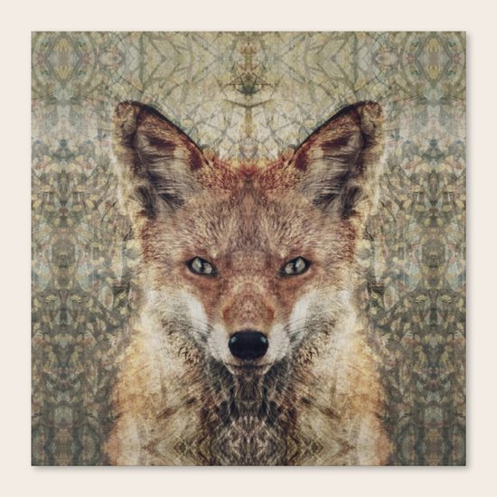 Fox II Canvas Print