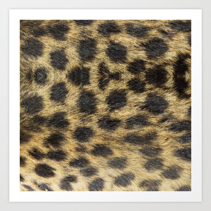 Faux Fur Cheetah Art Print