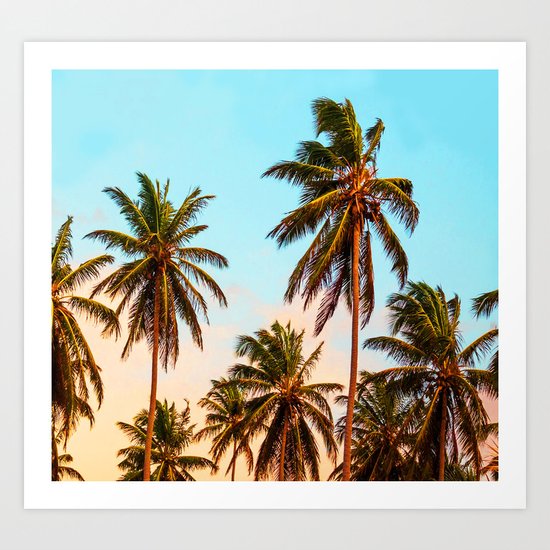 Palms trees. Art Print