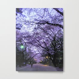 Sakura Walk Metal Print | Springtime, Bloom, Spring, University, College, Japan, Cherryblossoms, Tokyo, Walk, Nature 