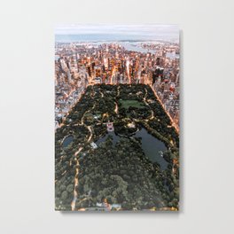 Central Park New York Metal Print