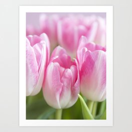 Floral bright neon pastel pink dutch tulips art print - nature and travel photography Art Print