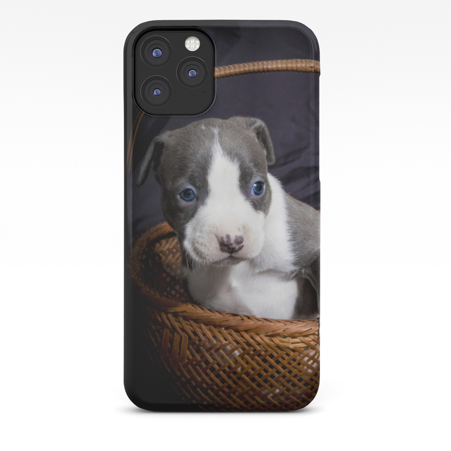 society6