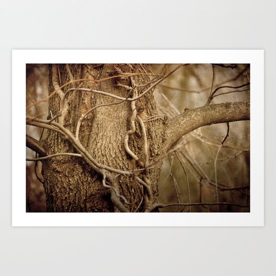 Life on Life Art Print