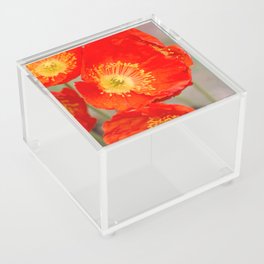 Red Poppy Flowers Acrylic Box