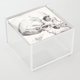 Human Skull Acrylic Box