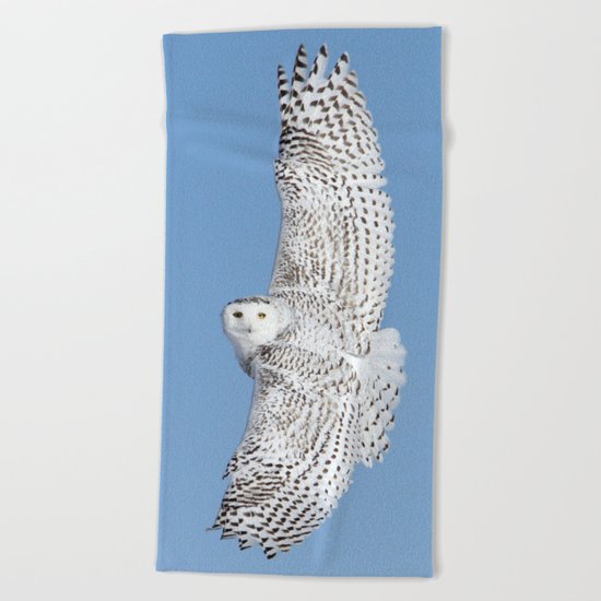 Flight of the goddess Beach Towel
