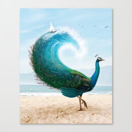 Summer Peacock Canvas Print