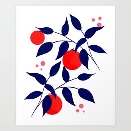 Red white and blue citrus fruit branches Art Print