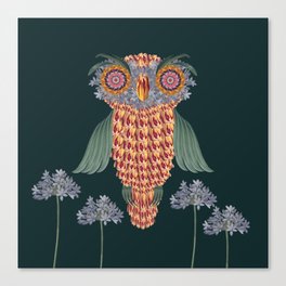 The owl of wisdom Canvas Print