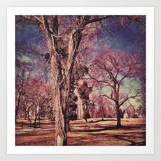 Trees Art Print
