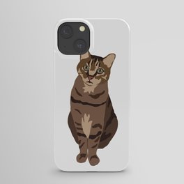 Tabby Cat iPhone Case