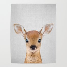 Baby Deer - Colorful Poster