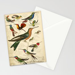 Hummingbirds from The Edinburgh Journal, 1835 (benefitting The Nature Conservancy) Stationery Card