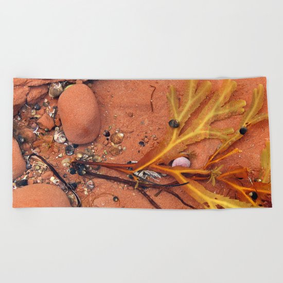 Life on the Tidal Shelf in PEI Beach Towel
