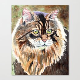 Maine Coon Cat Canvas Print