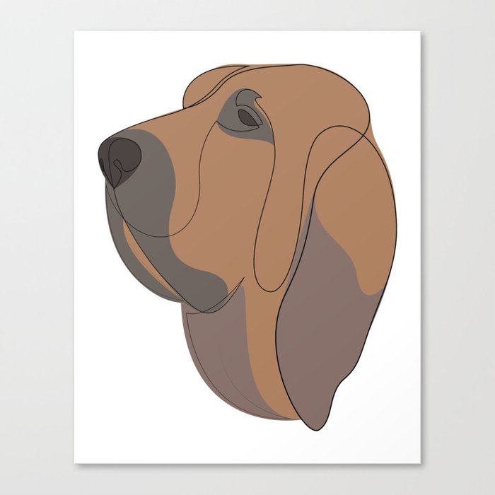 Bloodhound Canvas Print