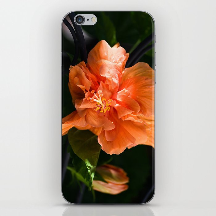 Apricot Hibiscus iPhone Skin