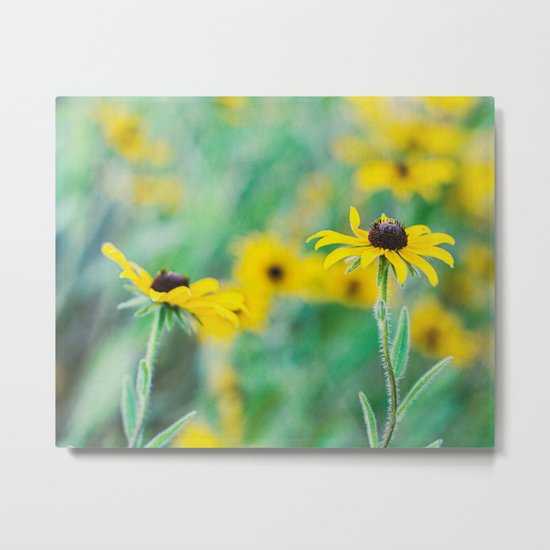 summer yellow Metal Print
