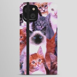 Assorted Cats, kittens iPhone Wallet Case