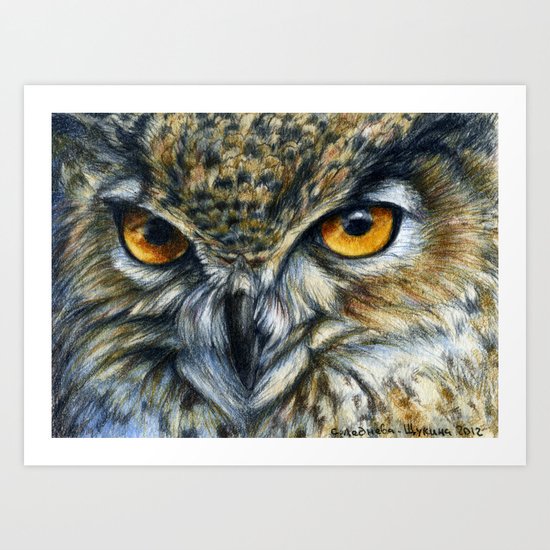 Owl 811 Art Print