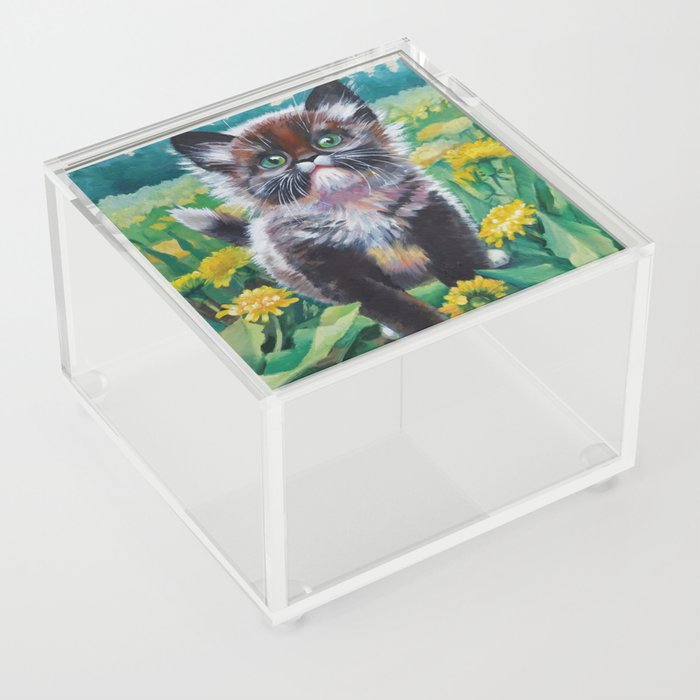 Cute Kitten Acrylic Box