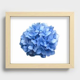 Nantucket Blue Hydrangea Flower Recessed Framed Print