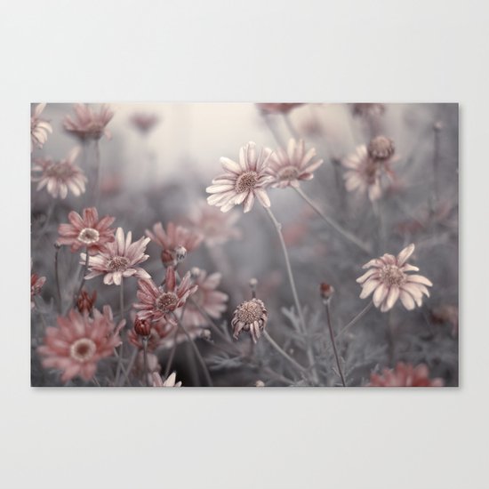 we are nowhere and it's now Canvas Print