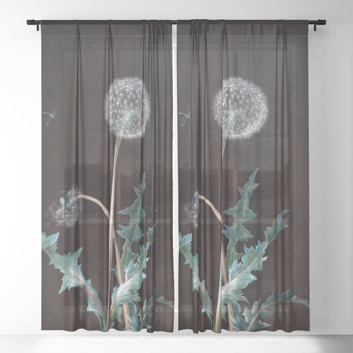 Sheer Curtain