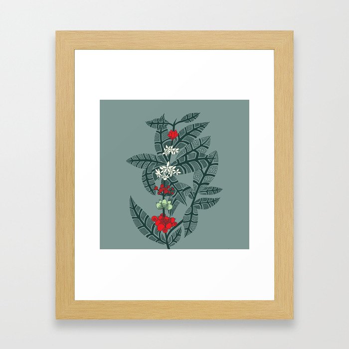 Coffee Botanical Framed Art Print