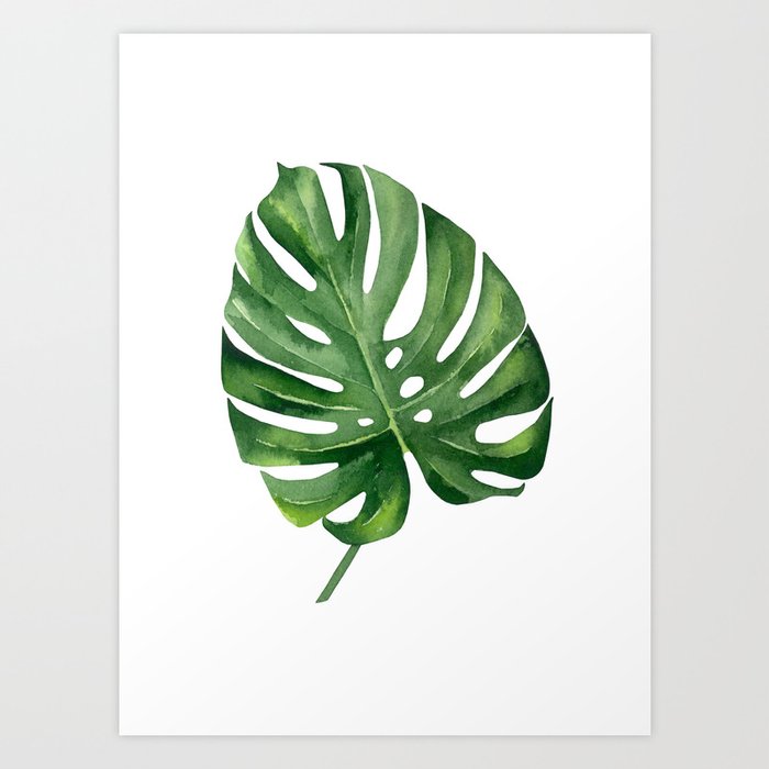 Discover the motif MONSTERA LEAF. GREEN LEAF. by Art by ASolo as a print at TOPPOSTER
