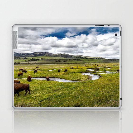 Yellowstone, Home on the range, American buffalo / bison grazing in spring fields of green river prairie landscape color photograph / photography Laptop & iPad Skin