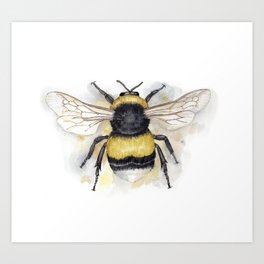 Botanical Bumblebee Art Print