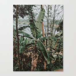 Palms on acid Canvas Print