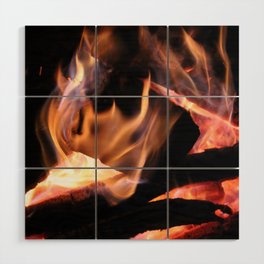 Camp Fire in the Winter Wood Wall Art