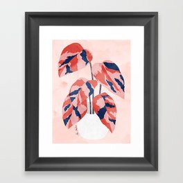 Philodendron pink princess Framed Art Print