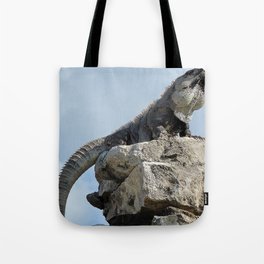 Mexico Photography - Majestic Iguana Standing On Rocks Tote Bag