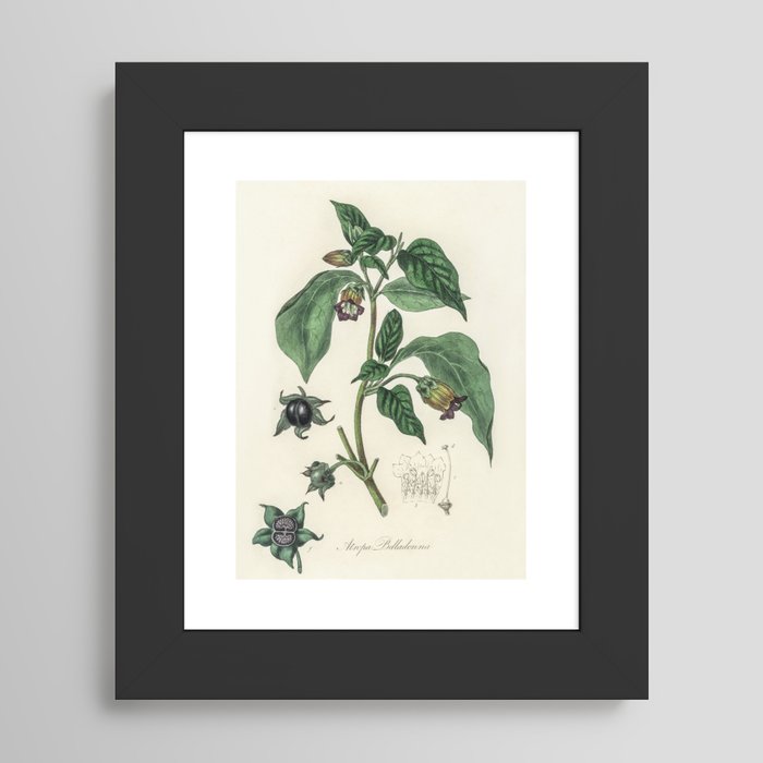 Framed Art Print