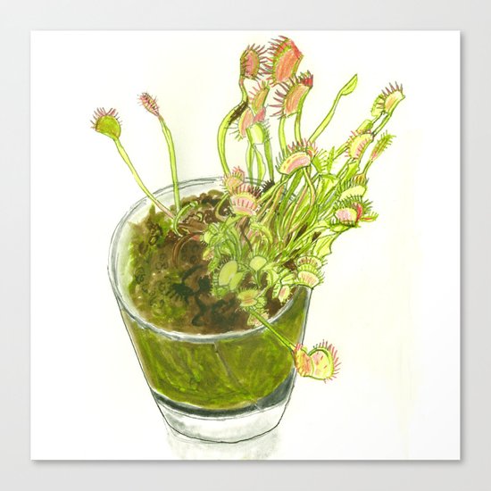 Trap Trap Trap Canvas Print