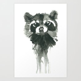 Raccoon  Art Print