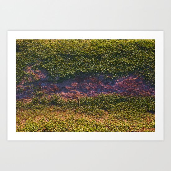Merriweather Art Print