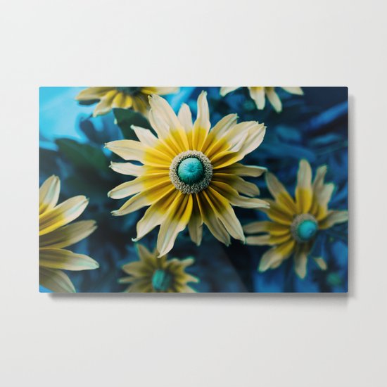 Flowers Metal Print