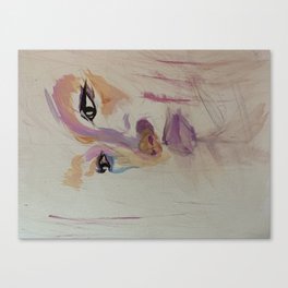 Colored gaze Canvas Print