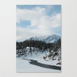 vermilion winter Canvas Print