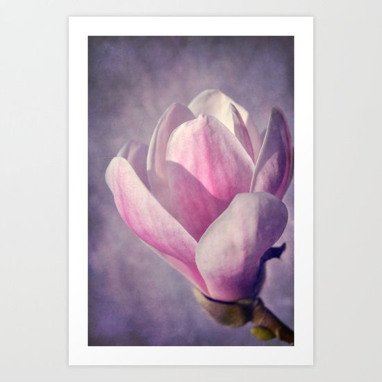 Magnolia Art Print