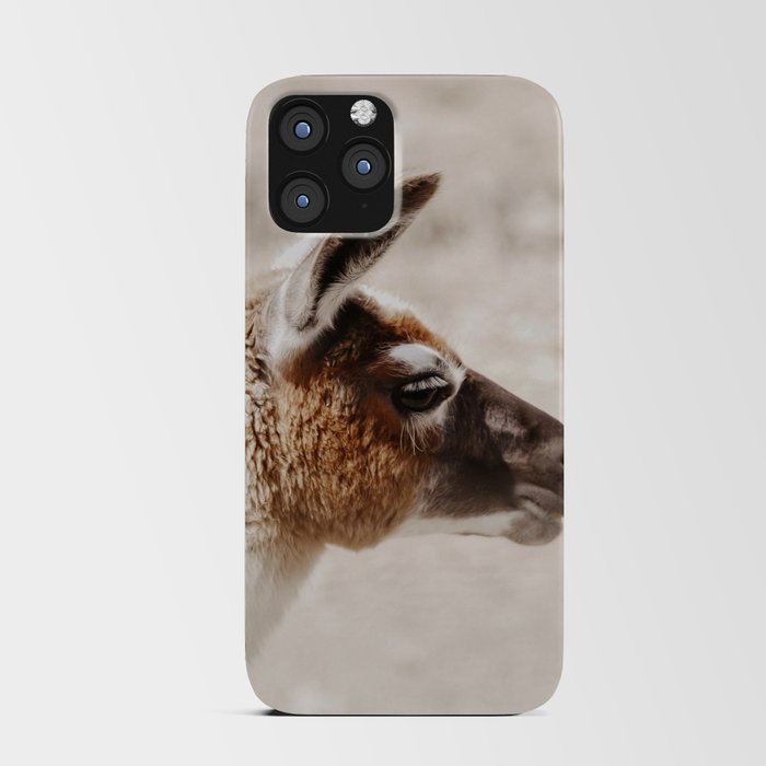 Llama portrait iPhone Card Case