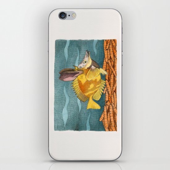 Foxface rabbit fish iPhone & iPod Skin