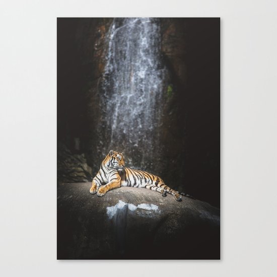 Big cat Canvas Print
